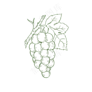 枝干可爱葡萄简笔画