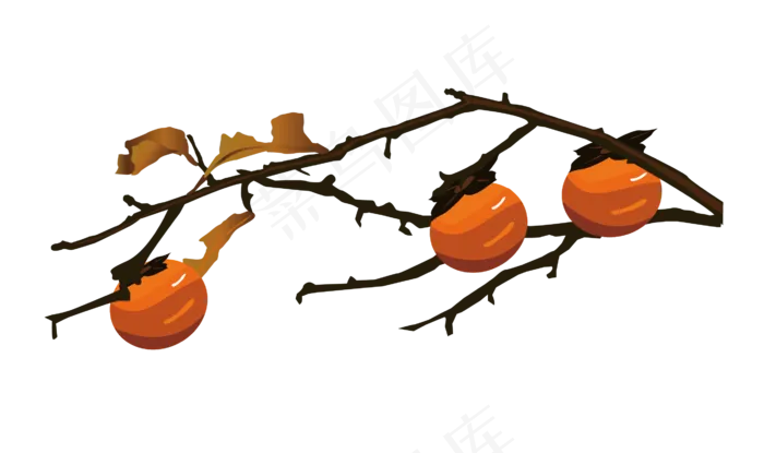 秋冬水果柿子(2650*1571px 300 dpi )ai矢量模版下载