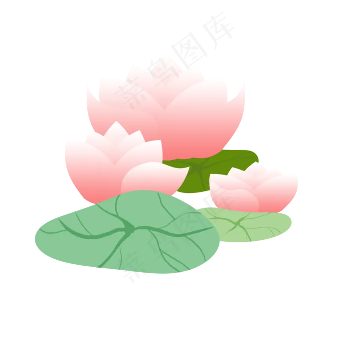 荷花荷叶(2000X2000(DPI:300))psd模版下载