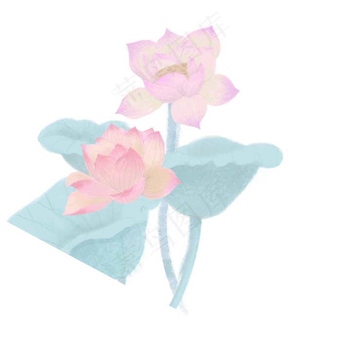 荷花荷叶(2000X2000(DPI:300))psd模版下载