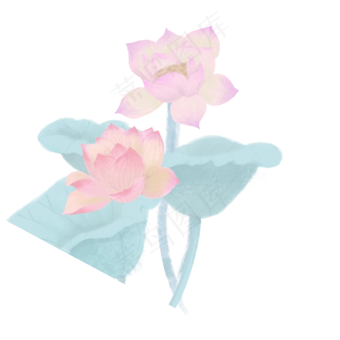 荷花荷叶(2000X2000(DPI:300))psd模版下载