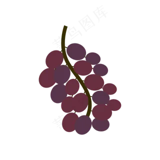 彩色手绘葡萄矢量
