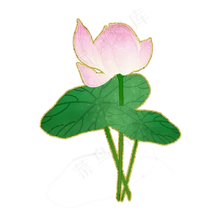 浅粉荷花中国风花卉PNG素材