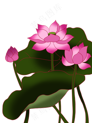 手绘盛开的荷花矢量免抠图