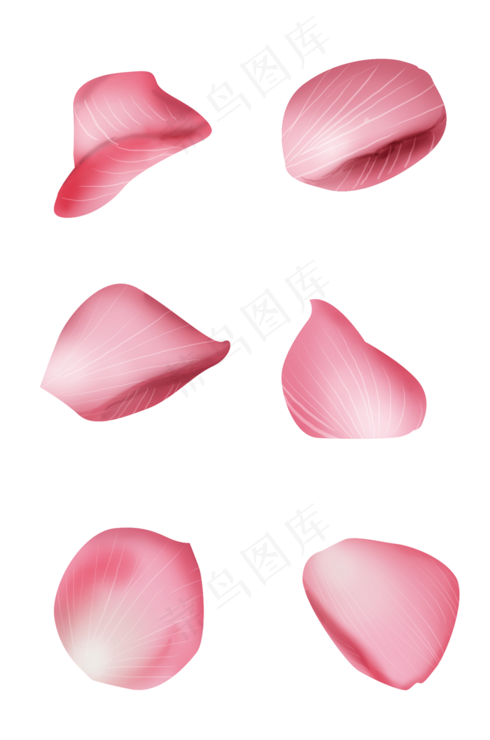 情人节手绘玫瑰花瓣,免抠元素(2000*3020px 300 dpi )psd模版下载