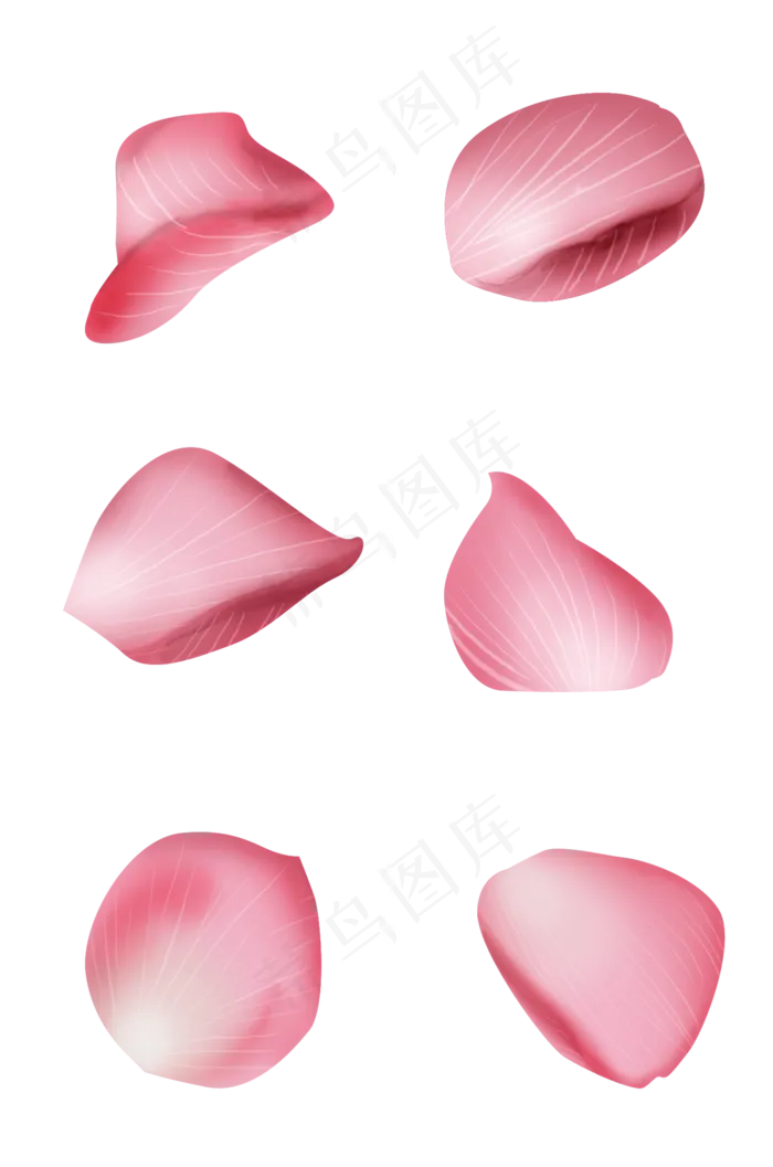 情人节手绘玫瑰花瓣,免抠元素(2000*3020px 300 dpi )psd模版下载
