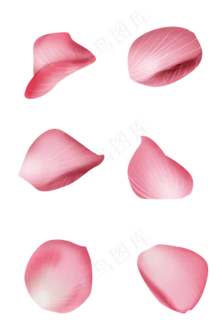 情人节手绘玫瑰花瓣,免抠元素
