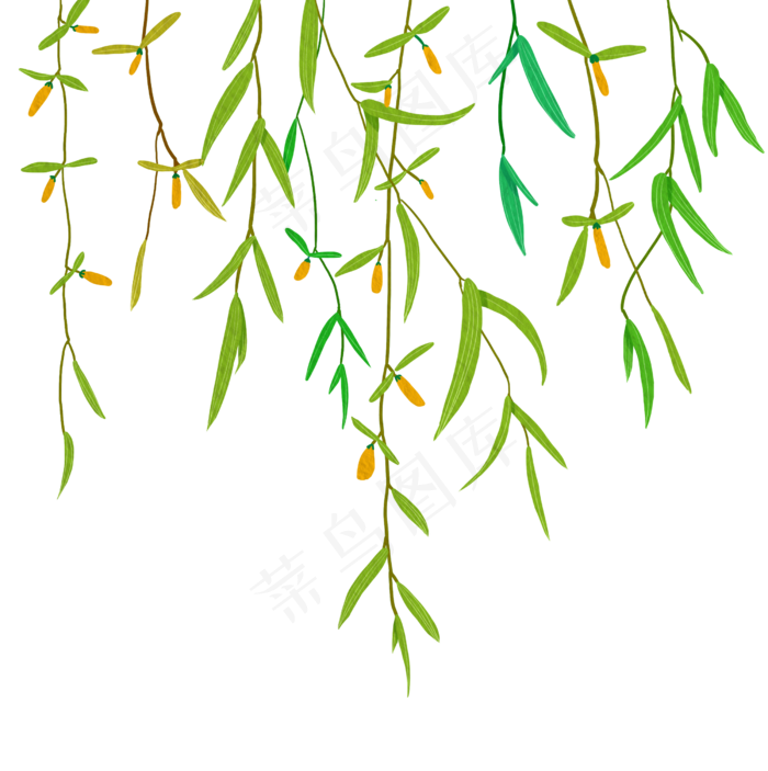 手绘春天绿色垂柳叶子,免抠元素