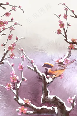 冬至大雪梅花花鸟工笔冬季风景