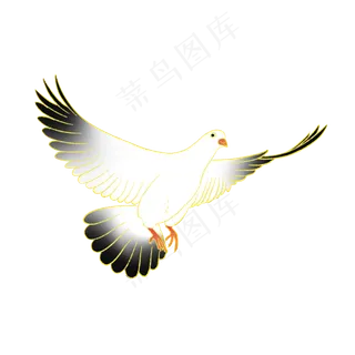 新中式国潮风动物鸽子 新中式国潮风动物鸽子