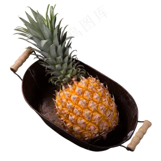 实拍种植大菠萝水果