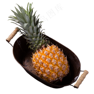 实拍种植大菠萝水果