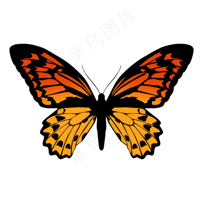 红橙色卡通手绘花蝴蝶PSD免抠图(2000X2000(DPI:72))psd模版下载