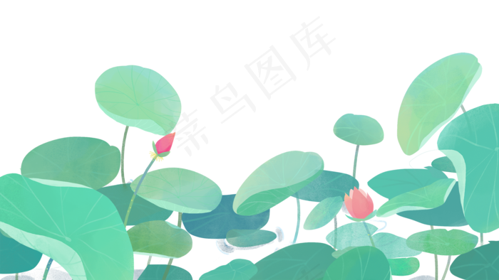 荷花荷叶风景(2000X1125(DPI:300))psd模版下载