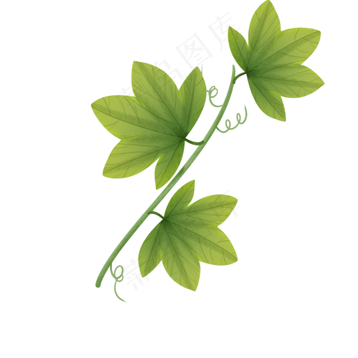 绿色植物叶子青藤透明底免抠