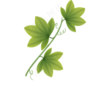 绿色植物叶子青藤透明底免抠
