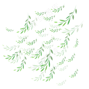 手绘植物树叶漂浮的叶子