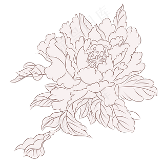 植物花草花线稿