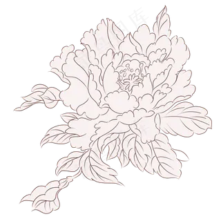 植物花草花线稿