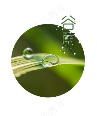 谷雨节气水滴