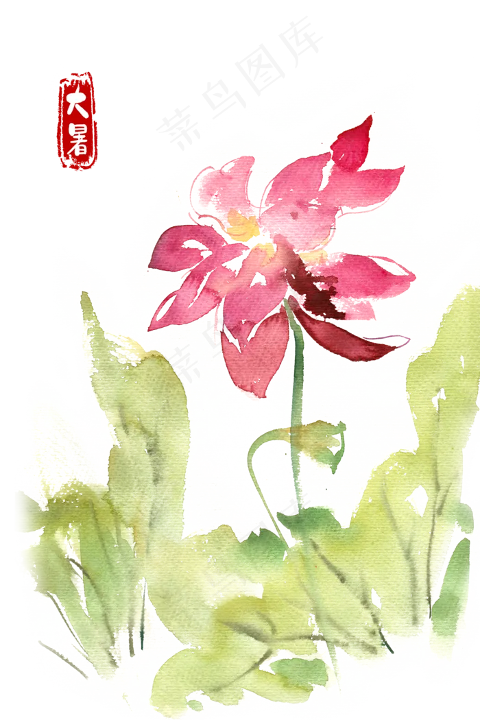 大暑摇曳的荷花(4724X7087(DPI:300))psd模版下载