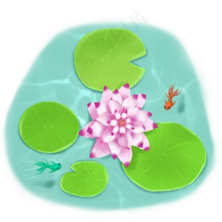 荷花春夏荷塘景色金鱼