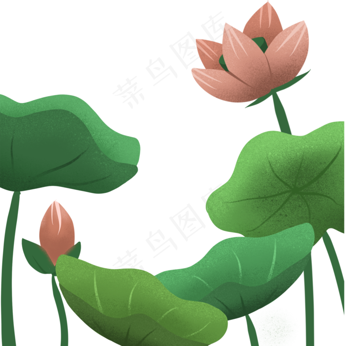 花朵卡通荷花植物(2000X2000(DPI:300))psd模版下载
