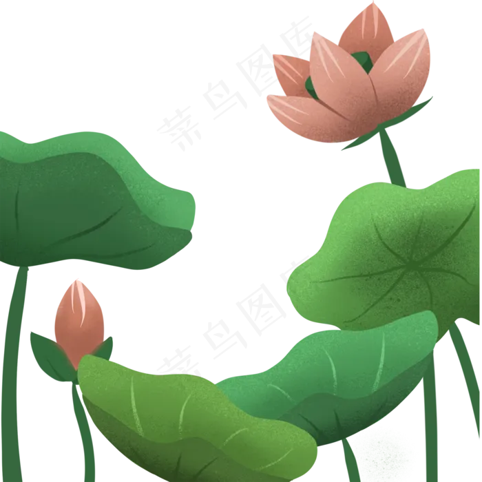 花朵卡通荷花植物(2000X2000(DPI:300))psd模版下载