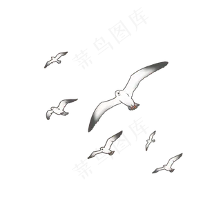 一群空中飞翔的海鸥,免抠元素