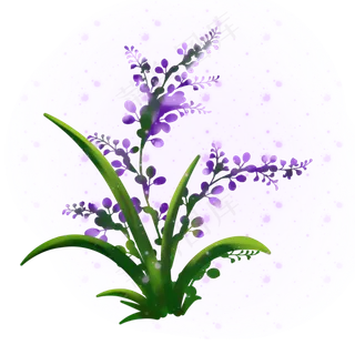 紫色的花手绘装饰图案,免抠元素