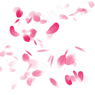 粉色漂浮玫瑰花瓣装饰
