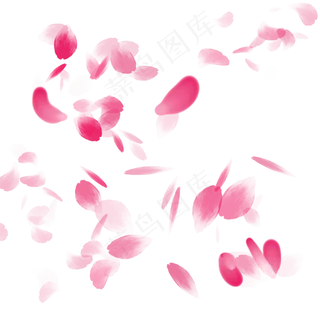 粉色漂浮玫瑰花瓣装饰