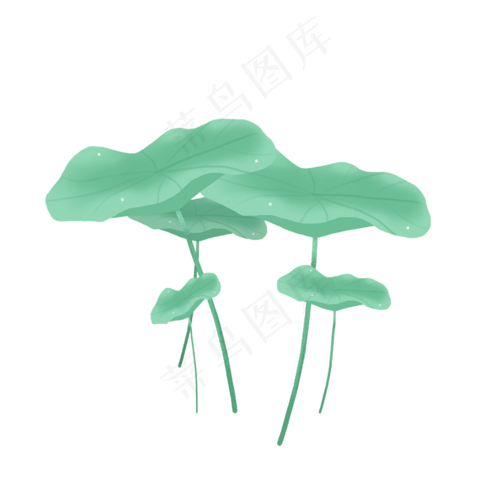 荷花荷叶png素材