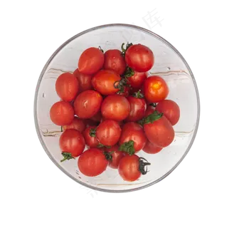 夏日水果系列之圣女果千禧果