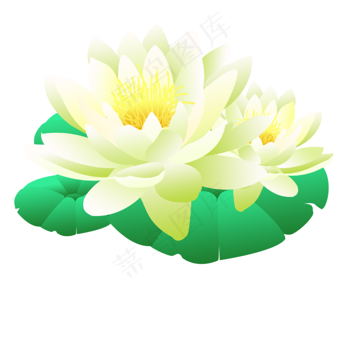 淡雅的荷花花朵插画