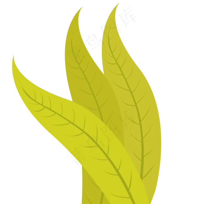 叶子绿色春季植物(2000X2000(DPI:300))psd模版下载