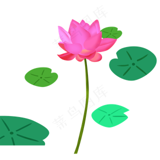 红色荷花荷叶免抠图