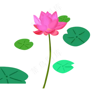 红色荷花荷叶免抠图