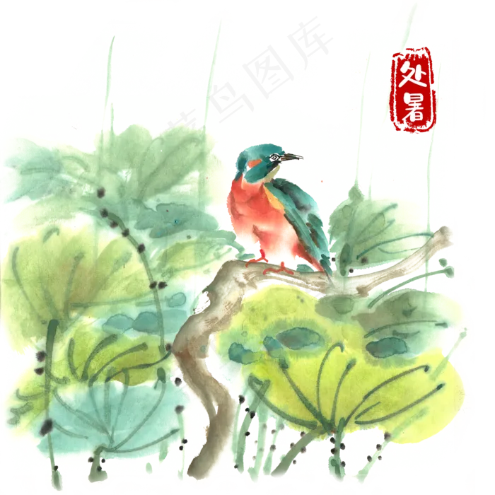 处暑转脸张望的翠鸟(4724X4724(DPI:300))psd模版下载