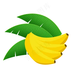 农作物水果香蕉