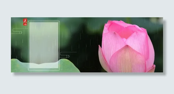 夏日夏至荷花清新简约海报背景