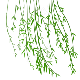 植物类柳树藤春天季节,免抠元素