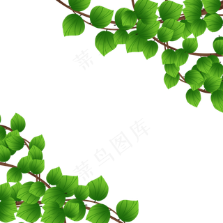 绿色植物叶子藤蔓