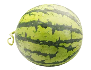 水果圆圆西瓜