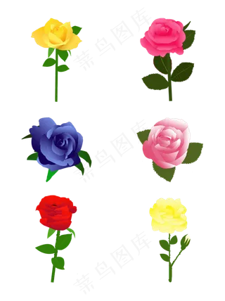 玫瑰花朵玫瑰花枝香槟玫瑰红玫瑰