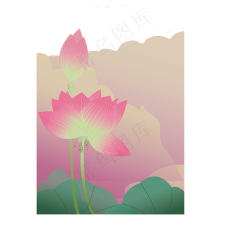 照样荷花映日红透明玲珑娇艳莲P