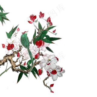 花鸟水墨国画白花花枝春天PNG,免抠元素