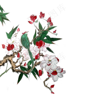 花鸟水墨国画白花花枝春天PNG,免抠元素
