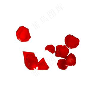 玫瑰花瓣实拍（png免抠）