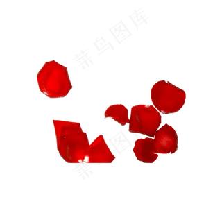 玫瑰花瓣实拍（png免抠）